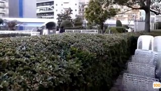 无吗一区区三区四区⭕❌亚洲精品99久久久久中文字幕